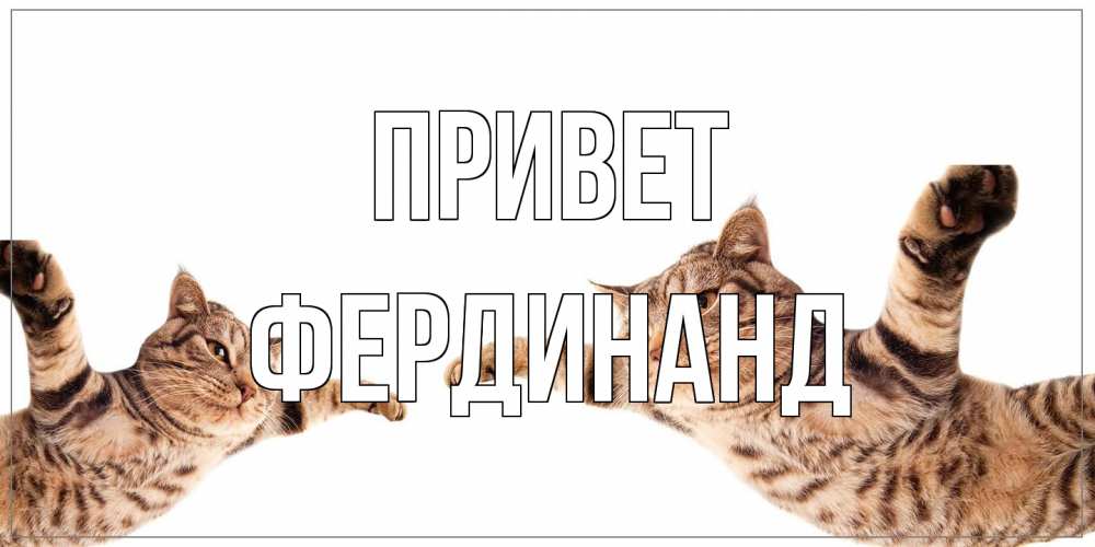 Открытка на каждый день с именем, Фердинанд Привет кот Прикольная открытка с пожеланием онлайн скачать бесплатно 