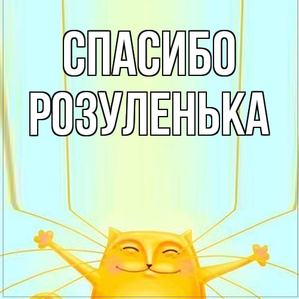Открытка на каждый день с именем, Розуленька Спасибо кот с усами благодарит Прикольная открытка с пожеланием онлайн скачать бесплатно 