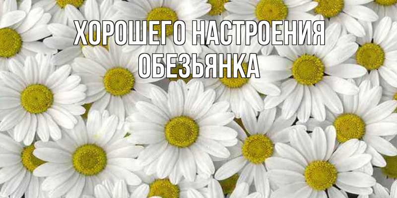 Картинка Хорошего настроения, Обезьянка