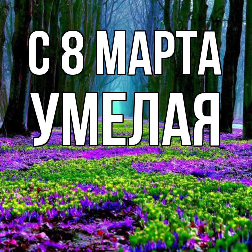 Открытка на каждый день с именем, Умелая C 8 МАРТА фиолетовые цветы в лесу 1 Прикольная открытка с пожеланием онлайн скачать бесплатно 