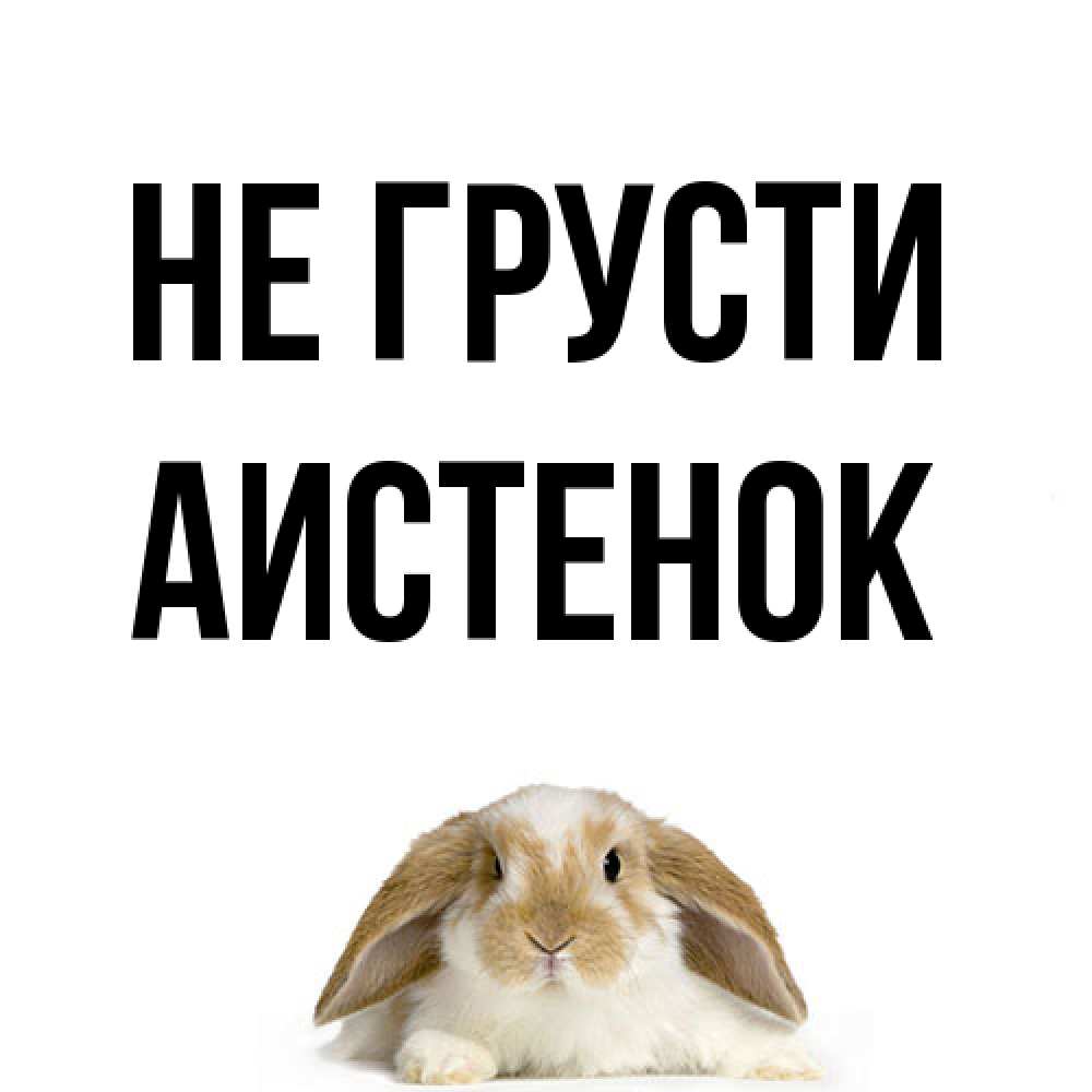 Открытка на каждый день с именем, аистенок Не грусти коричнево белый заяц с большими ушками Прикольная открытка с пожеланием онлайн скачать бесплатно 