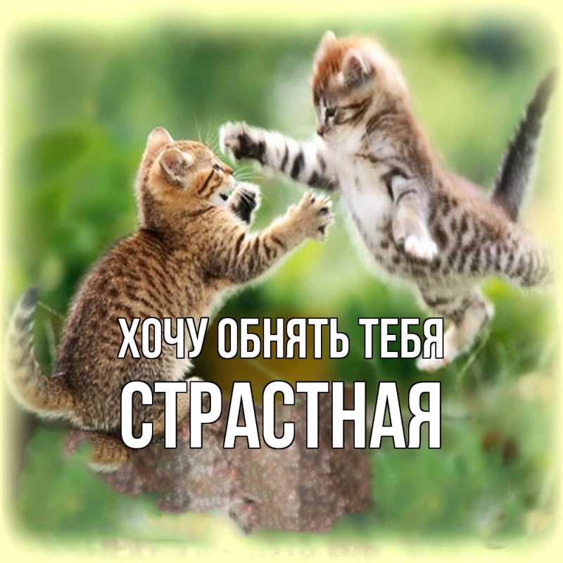 Картинка Хочу обнять тебя, Стpастная