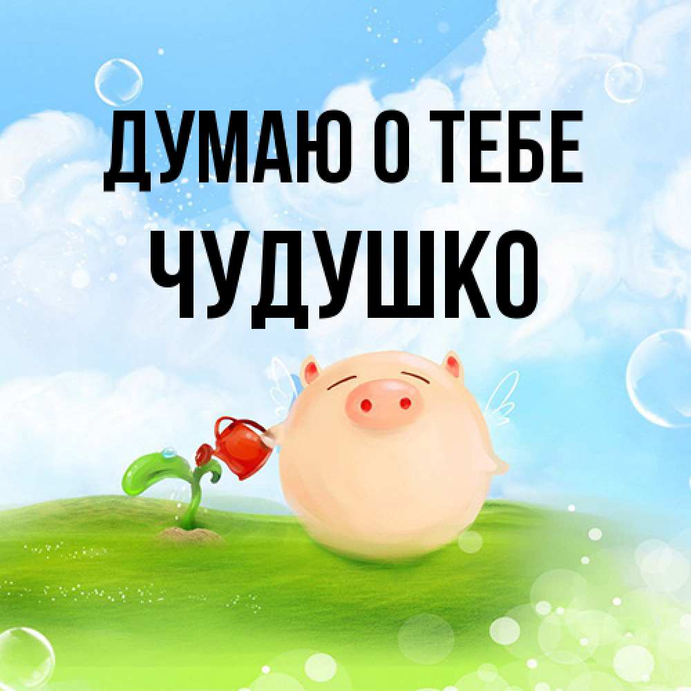 Открытка на каждый день с именем, Чудушко Думаю о тебе позитивная свинюшка Прикольная открытка с пожеланием онлайн скачать бесплатно 