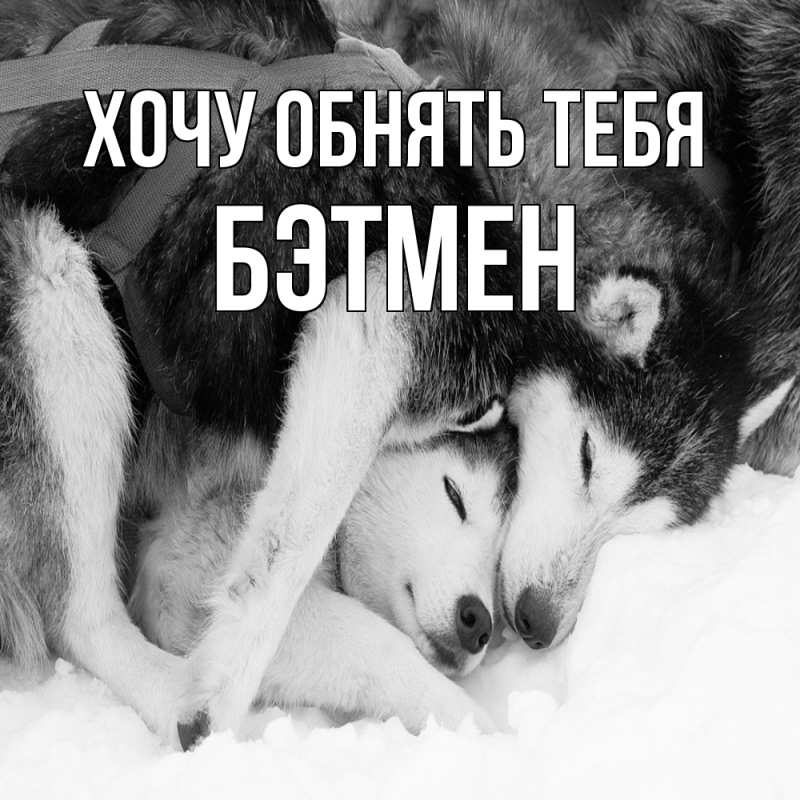 Картинка Хочу обнять тебя, Бэтмен