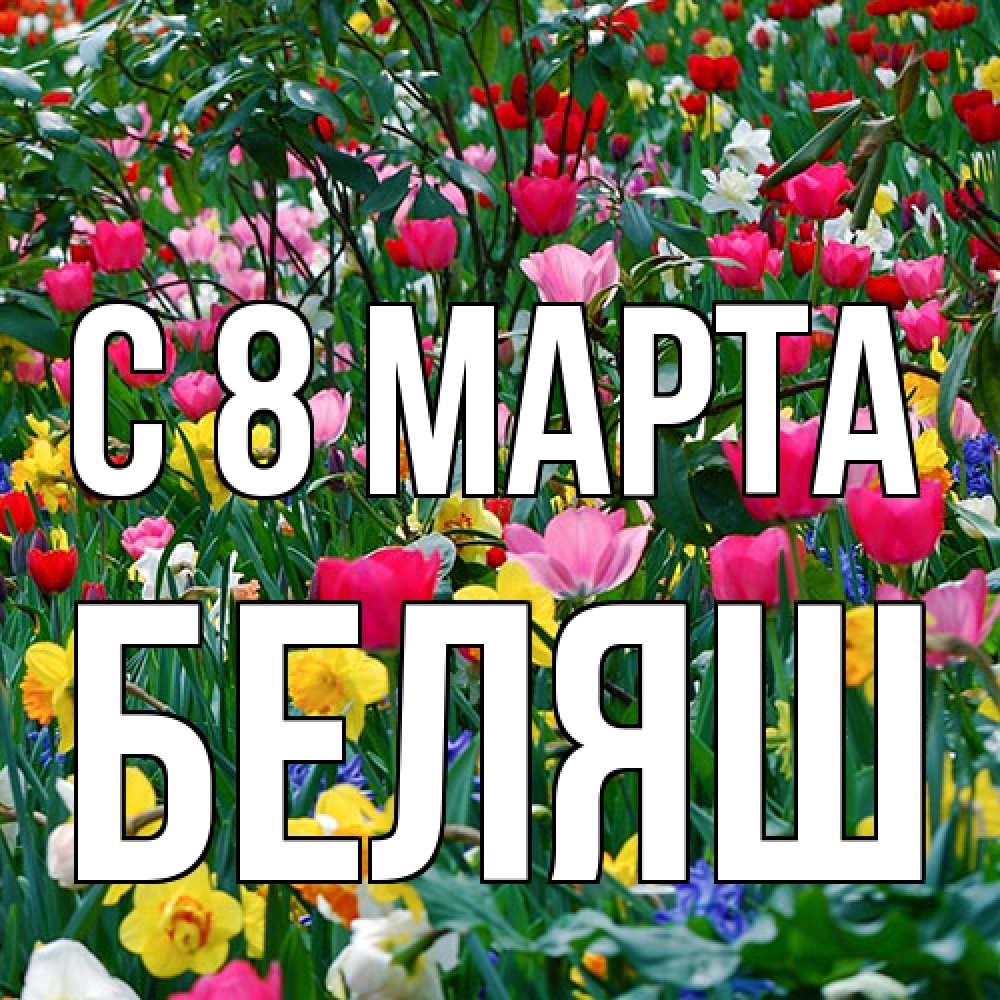 Открытка на каждый день с именем, Беляш C 8 МАРТА с международным женским днем поздравления для женщины Прикольная открытка с пожеланием онлайн скачать бесплатно 
