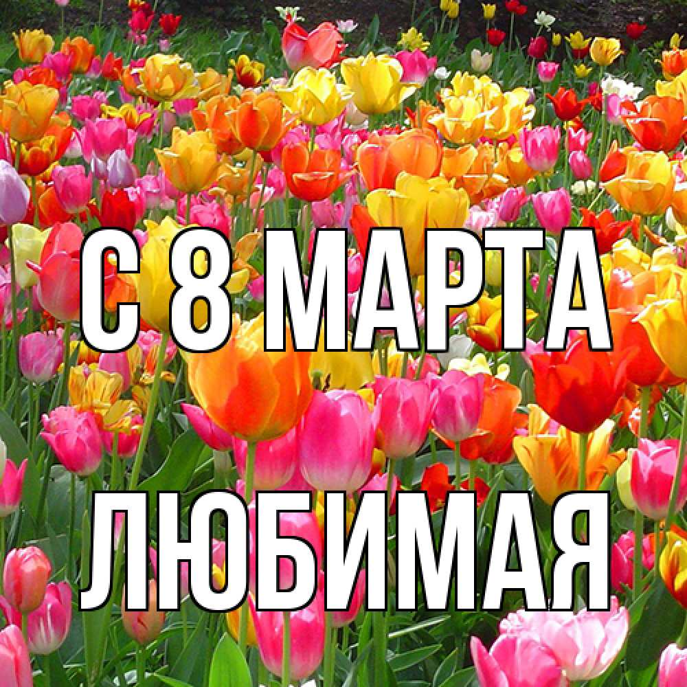Открытка на каждый день с именем, Любимая C 8 МАРТА на международный женский день Прикольная открытка с пожеланием онлайн скачать бесплатно 