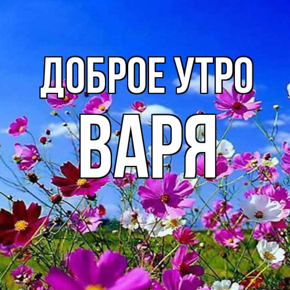 Открытка на каждый день с именем, Варя Доброе утро сиреневые цветы Прикольная открытка с пожеланием онлайн скачать бесплатно 
