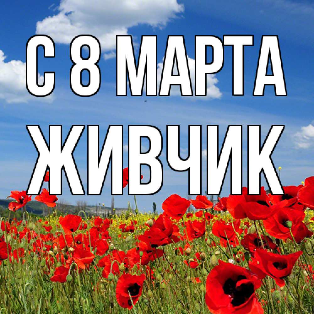 Открытка на каждый день с именем, Живчик C 8 МАРТА международный женский день 1 Прикольная открытка с пожеланием онлайн скачать бесплатно 