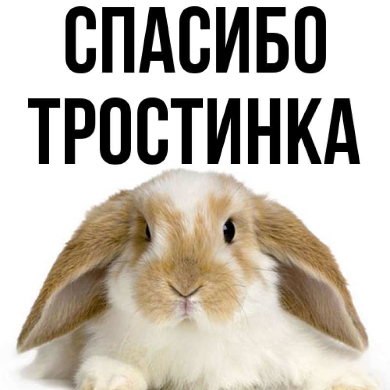 Картинка Спасибо, Тpостинка