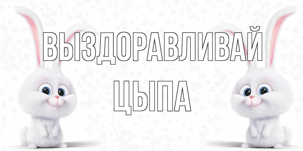 Открытка на каждый день с именем, Цыпа Выздоравливай не болей с зайцем Прикольная открытка с пожеланием онлайн скачать бесплатно 