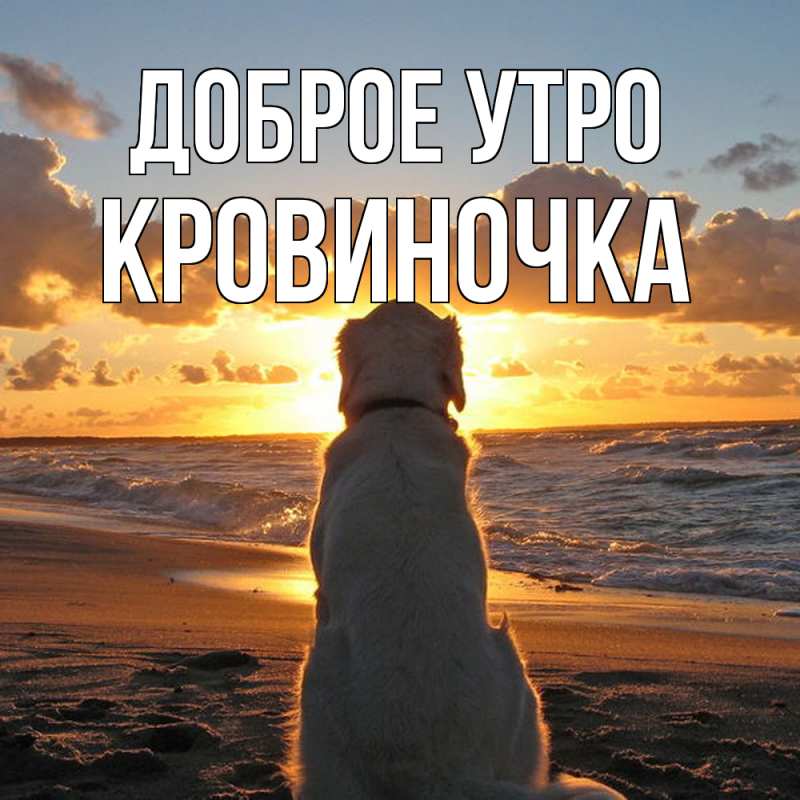 Картинка Доброе утро, кровиночка