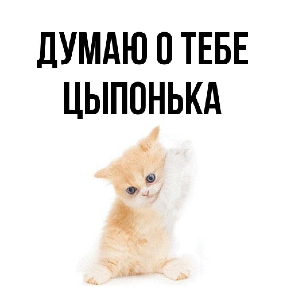 Открытка на каждый день с именем, Цыпонька Думаю о тебе зверушки и милота Прикольная открытка с пожеланием онлайн скачать бесплатно 