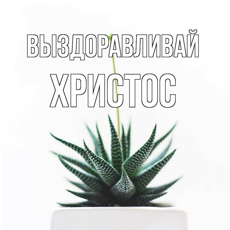 Картинка Выздоравливай, Христос