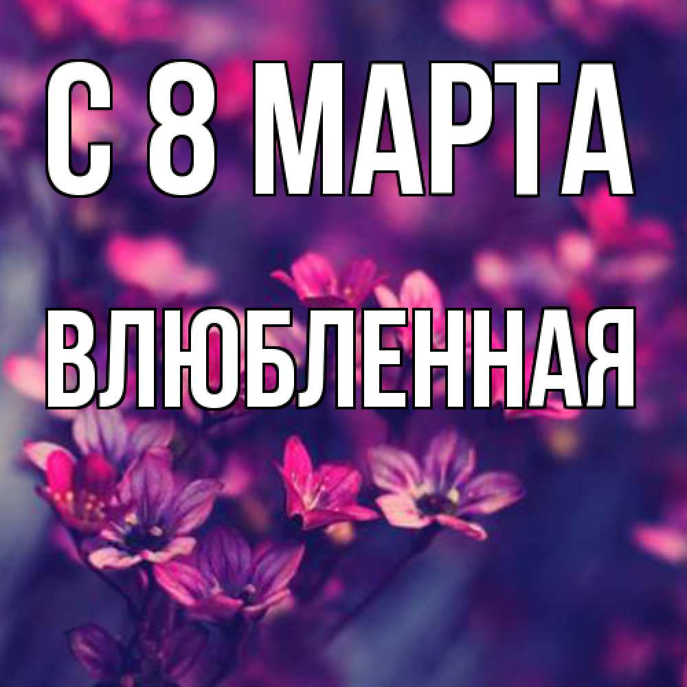 Открытка на каждый день с именем, Влюбленная C 8 МАРТА небольшие цветы 1 Прикольная открытка с пожеланием онлайн скачать бесплатно 