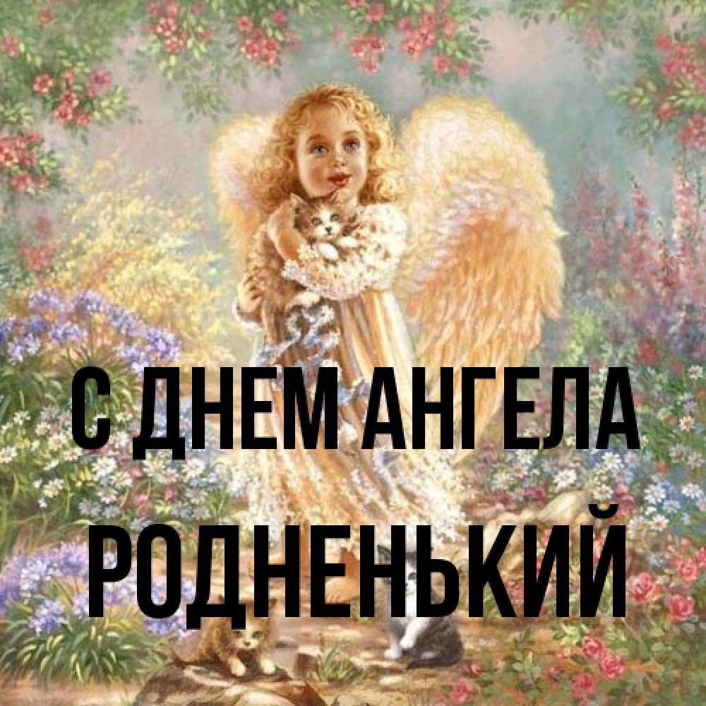 Открытка на каждый день с именем, Родненький С днем ангела держит котенка Прикольная открытка с пожеланием онлайн скачать бесплатно 