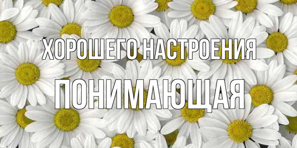 Открытка на каждый день с именем, Понимающая Хорошего настроения поляна ромашек Прикольная открытка с пожеланием онлайн скачать бесплатно 