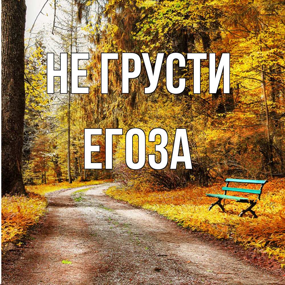 Открытка на каждый день с именем, егоза Не грусти зеленая лавочка Прикольная открытка с пожеланием онлайн скачать бесплатно 
