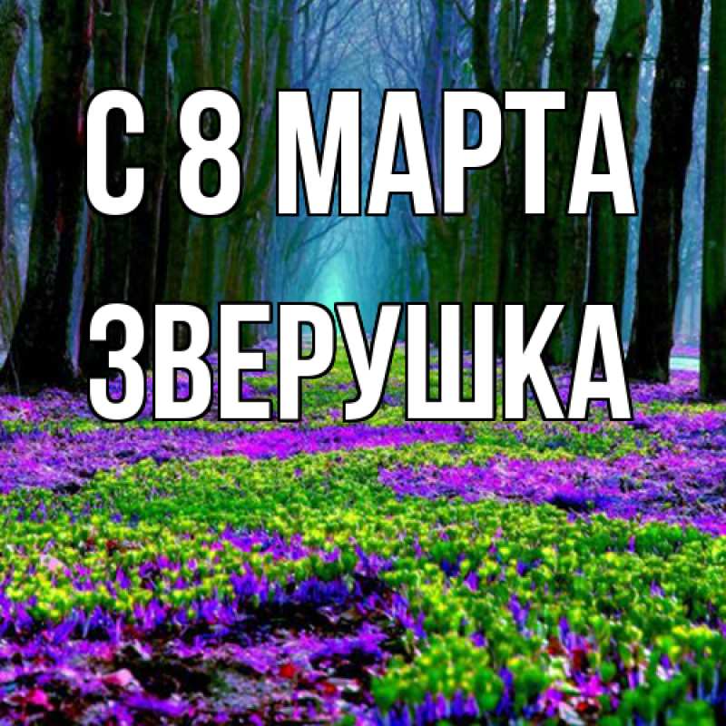 Картинка C 8 МАРТА, Зверушка
