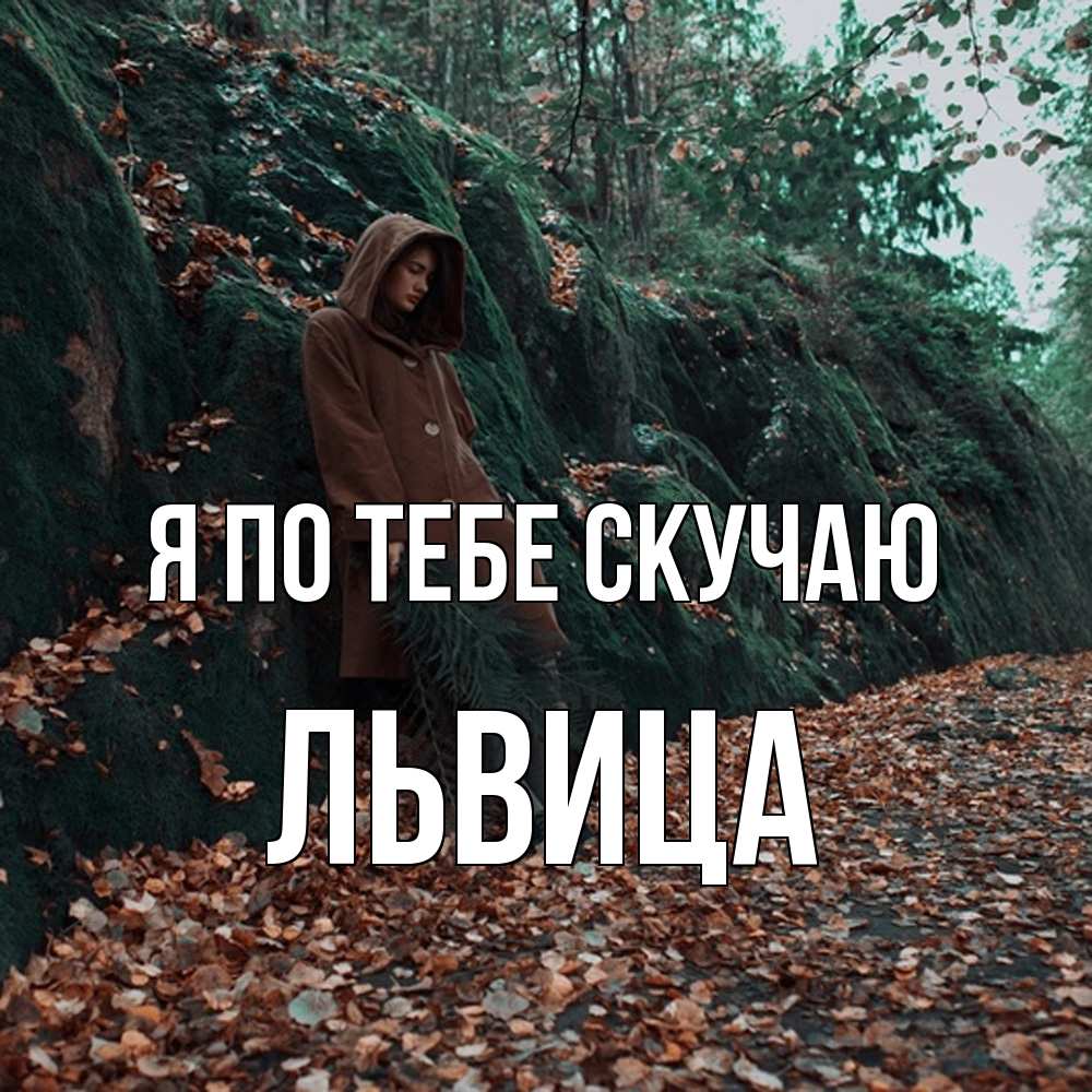 Открытка на каждый день с именем, Львица Я по тебе скучаю скука 1 Прикольная открытка с пожеланием онлайн скачать бесплатно 