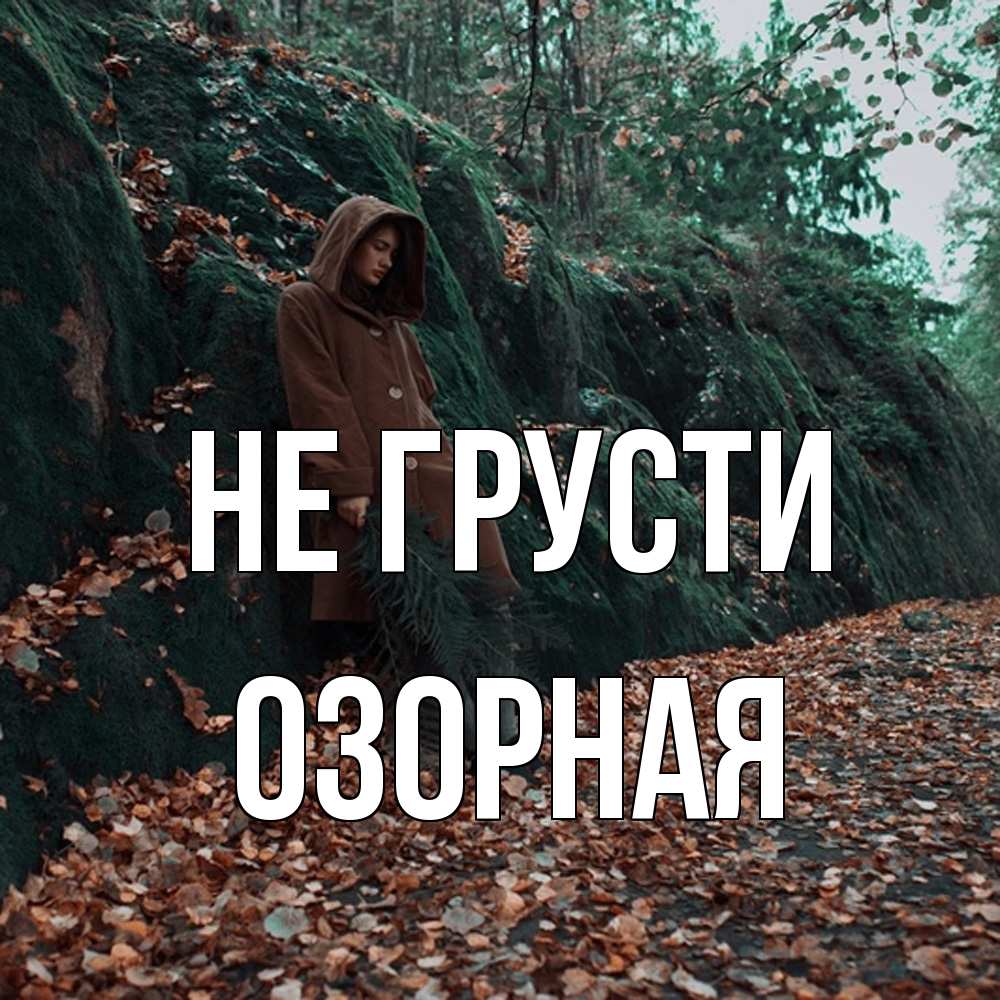 Открытка на каждый день с именем, Озоpная Не грусти осенний лес Прикольная открытка с пожеланием онлайн скачать бесплатно 