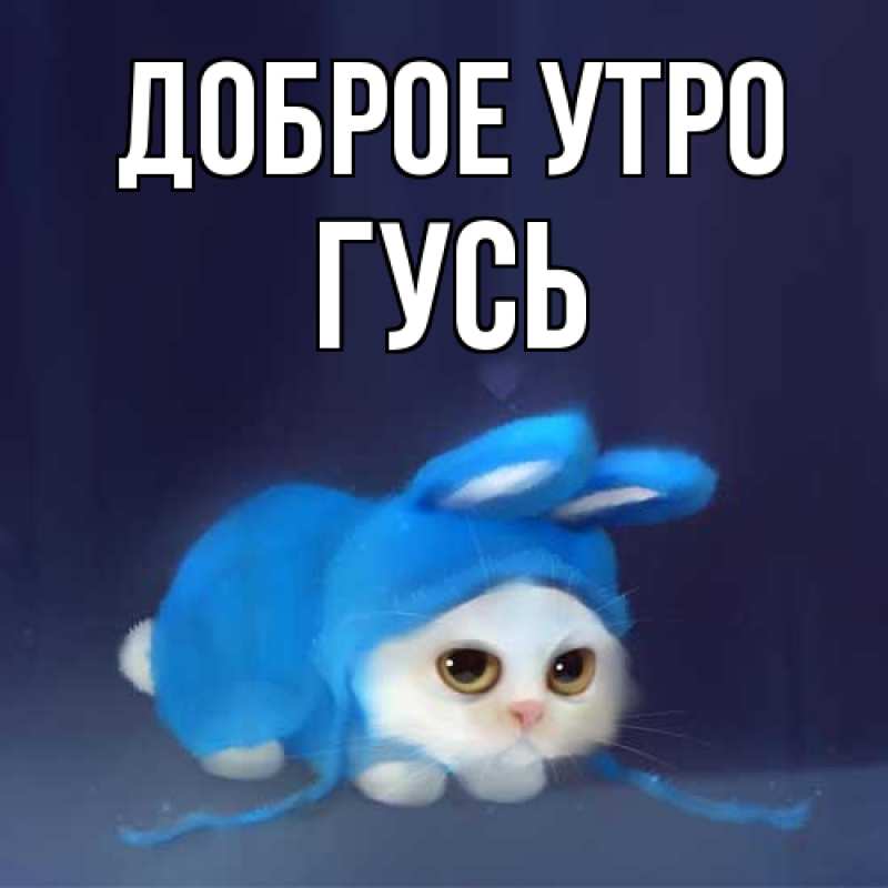 Картинка Доброе утро, Гусь