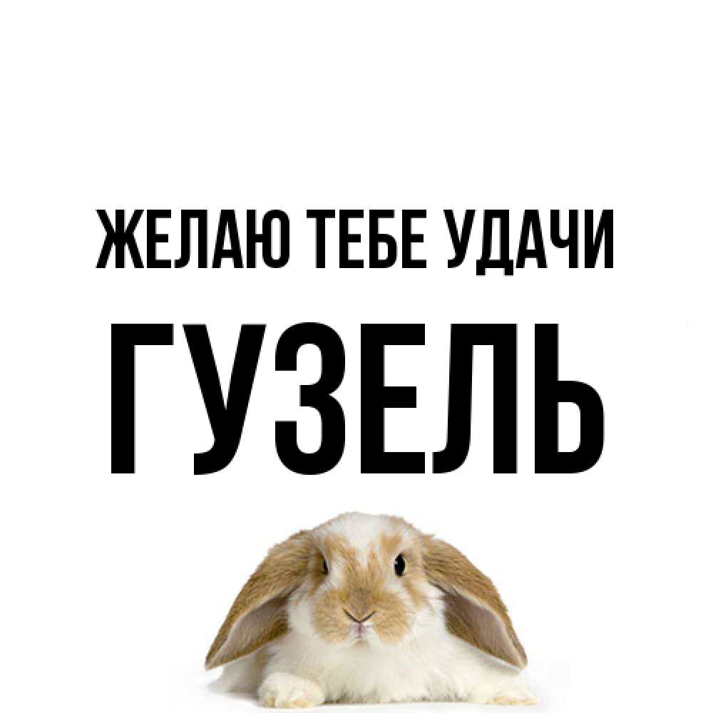 Открытка на каждый день с именем, Гузель Желаю тебе удачи открытки с произвольным текстом который можно вставить в открытку и создать ее самостоятельно бесплатно онлайн Прикольная открытка с пожеланием онлайн скачать бесплатно 