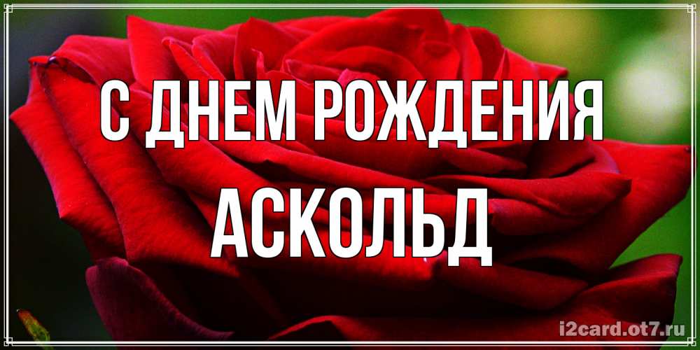 Открытка на каждый день с именем, Аскольд С днем рождения розочка очень красивая Прикольная открытка с пожеланием онлайн скачать бесплатно 