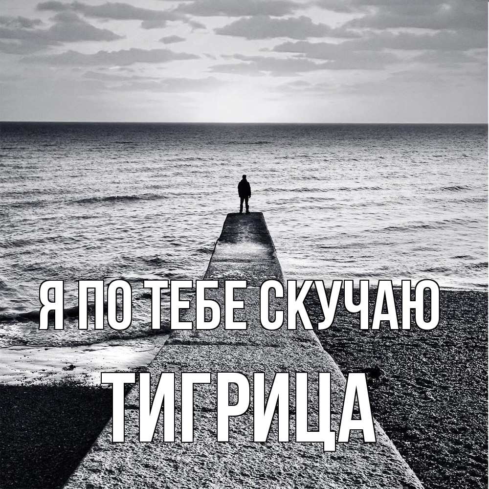 Открытка на каждый день с именем, Тигрица Я по тебе скучаю скучашки Прикольная открытка с пожеланием онлайн скачать бесплатно 