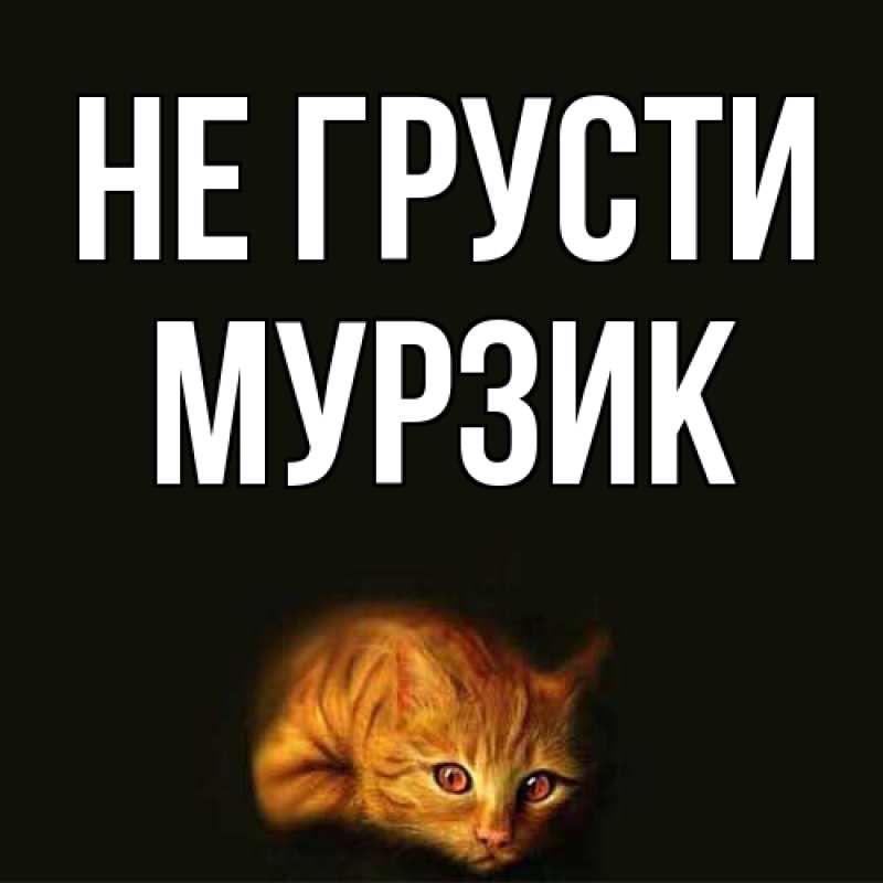 Картинка Не грусти, Мурзик