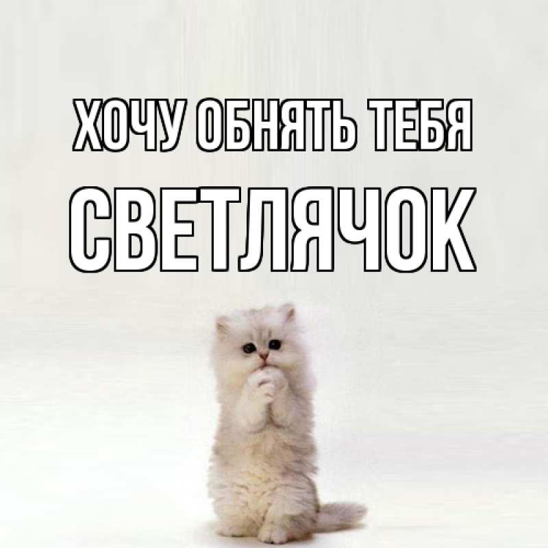 Картинка Хочу обнять тебя, Светлячок