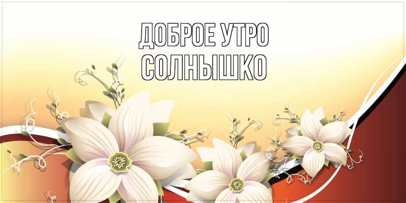 Картинка Доброе утро, Солнышко