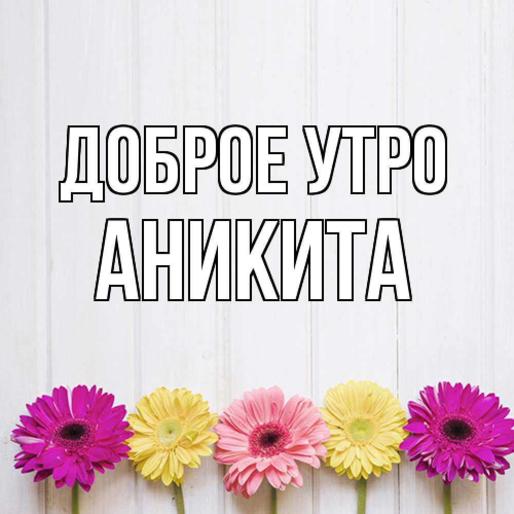 Открытка на каждый день с именем, Аникита Доброе утро красный желтый и розовый цветок Прикольная открытка с пожеланием онлайн скачать бесплатно 