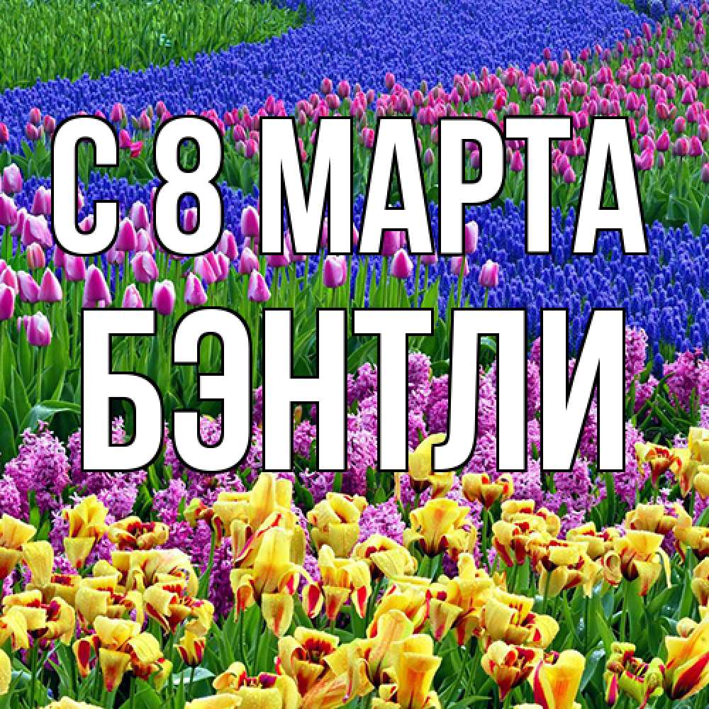 Открытка на каждый день с именем, Бэнтли C 8 МАРТА цветы Прикольная открытка с пожеланием онлайн скачать бесплатно 