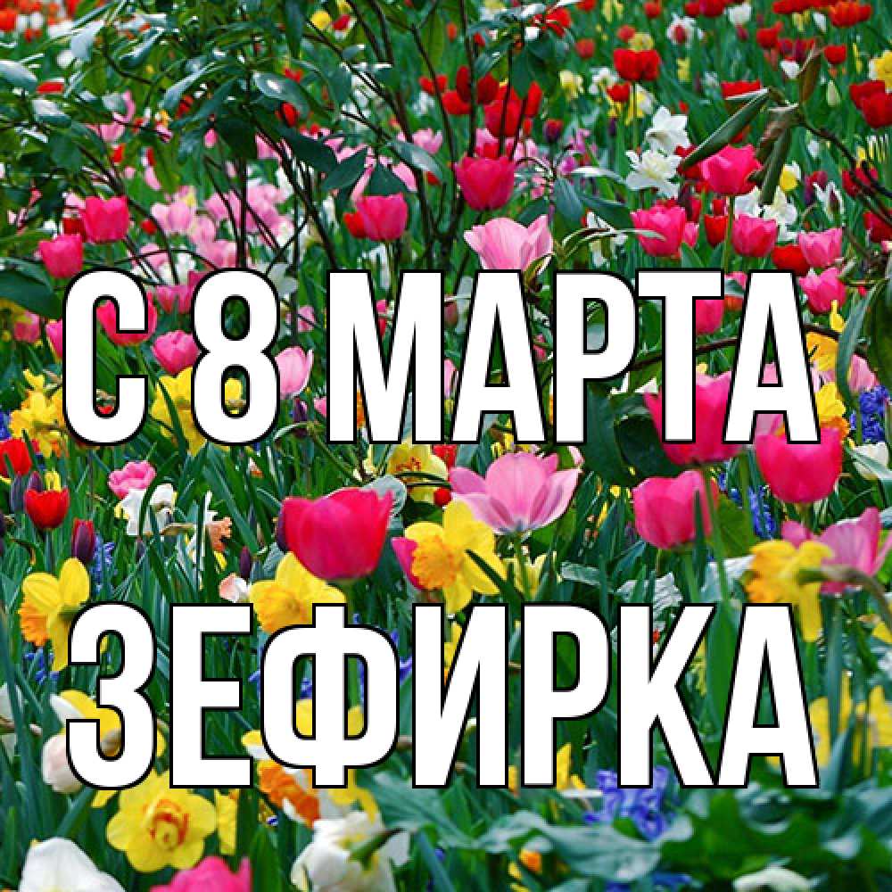 Открытка на каждый день с именем, зефирка C 8 МАРТА с международным женским днем поздравления для женщины Прикольная открытка с пожеланием онлайн скачать бесплатно 