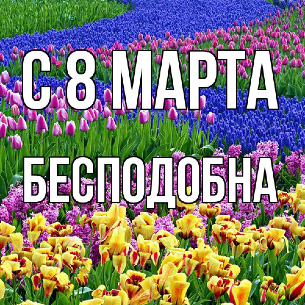 Открытка на каждый день с именем, Бесподобна C 8 МАРТА цветы Прикольная открытка с пожеланием онлайн скачать бесплатно 