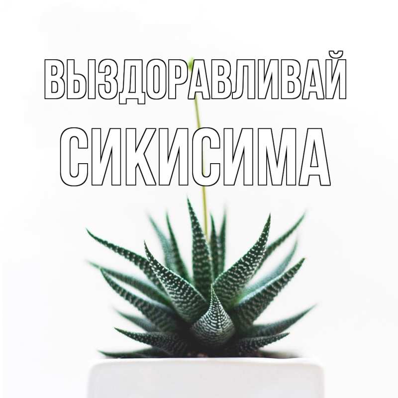 Картинка Выздоравливай, Сикисима