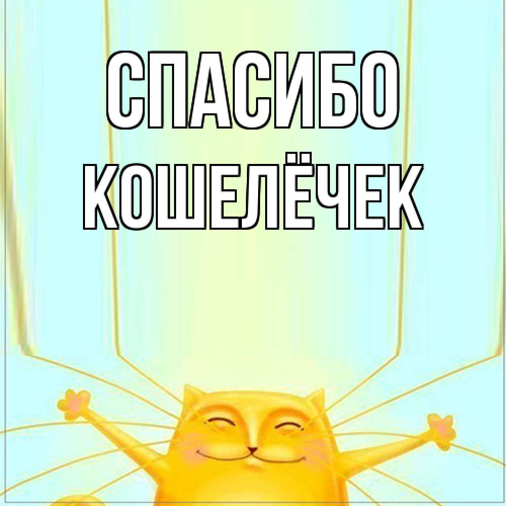 Открытка на каждый день с именем, кошелёчек Спасибо кот с усами благодарит Прикольная открытка с пожеланием онлайн скачать бесплатно 