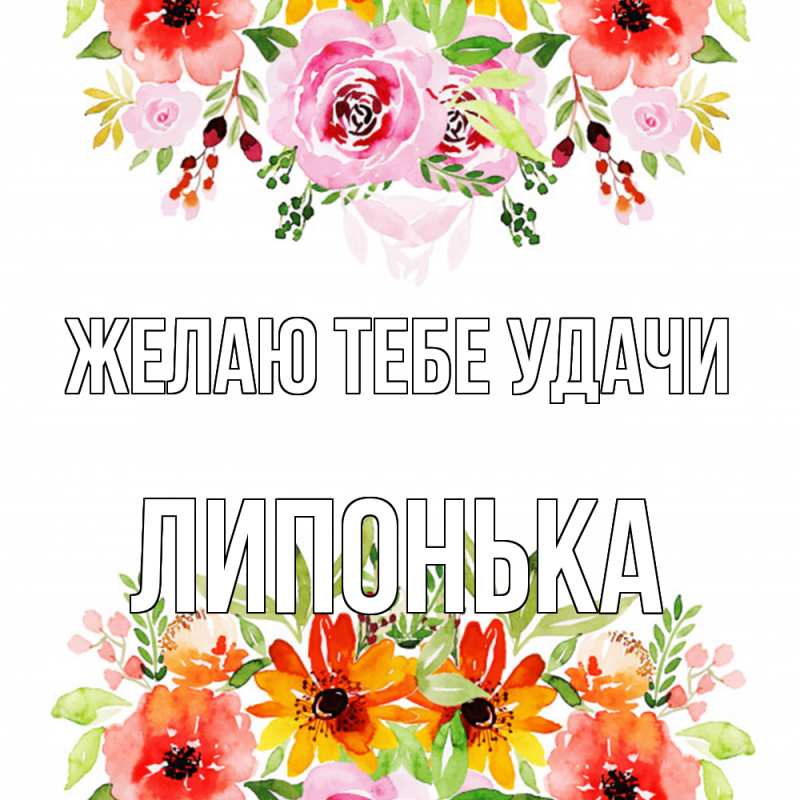 Картинка Желаю тебе удачи, Липонька