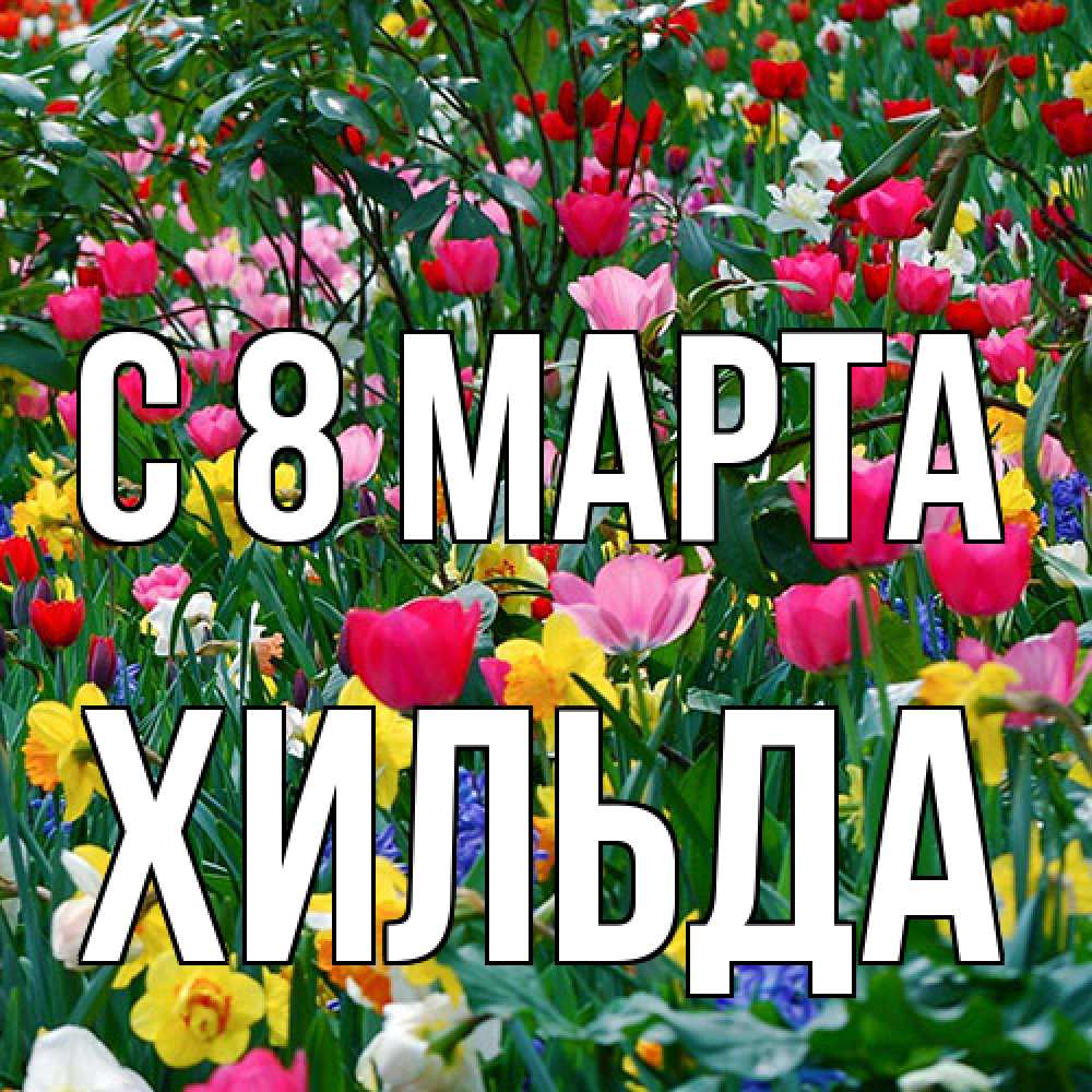 Открытка на каждый день с именем, Хильда C 8 МАРТА с международным женским днем поздравления для женщины Прикольная открытка с пожеланием онлайн скачать бесплатно 