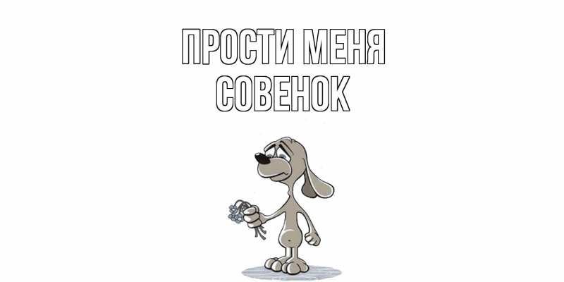 Картинка Прости меня, совенок