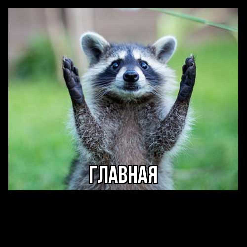 Открытка на каждый день с именем, Анна Главная милые животные Прикольная открытка с пожеланием онлайн скачать бесплатно 