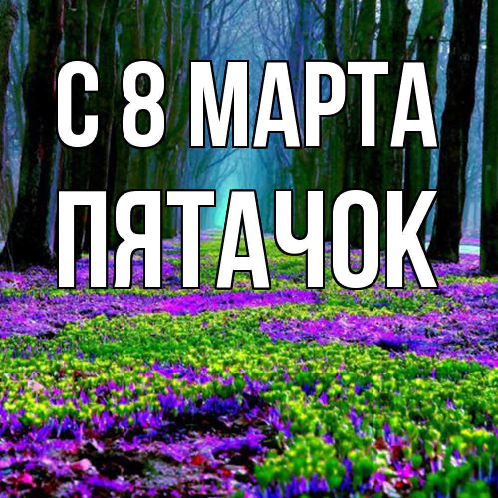 Открытка на каждый день с именем, Пятачок C 8 МАРТА фиолетовые цветы в лесу 1 Прикольная открытка с пожеланием онлайн скачать бесплатно 