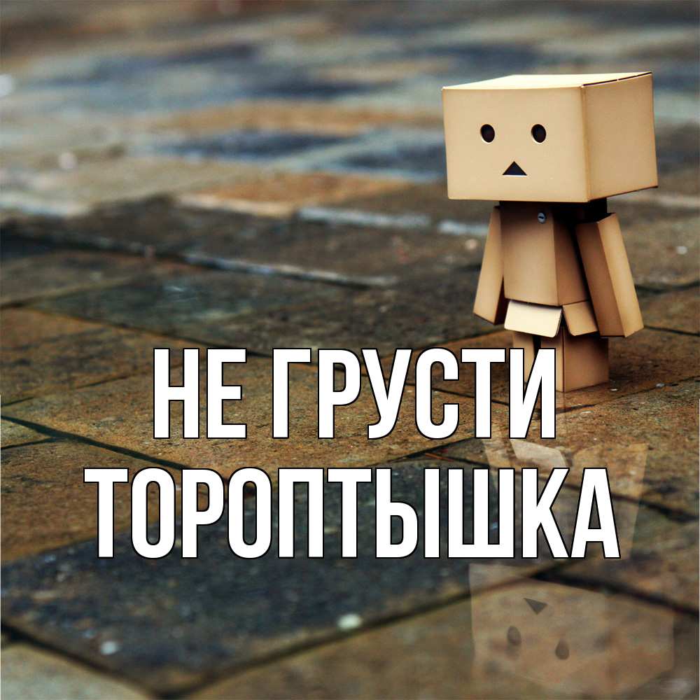 Открытка на каждый день с именем, Тороптышка Не грусти Стив Прикольная открытка с пожеланием онлайн скачать бесплатно 