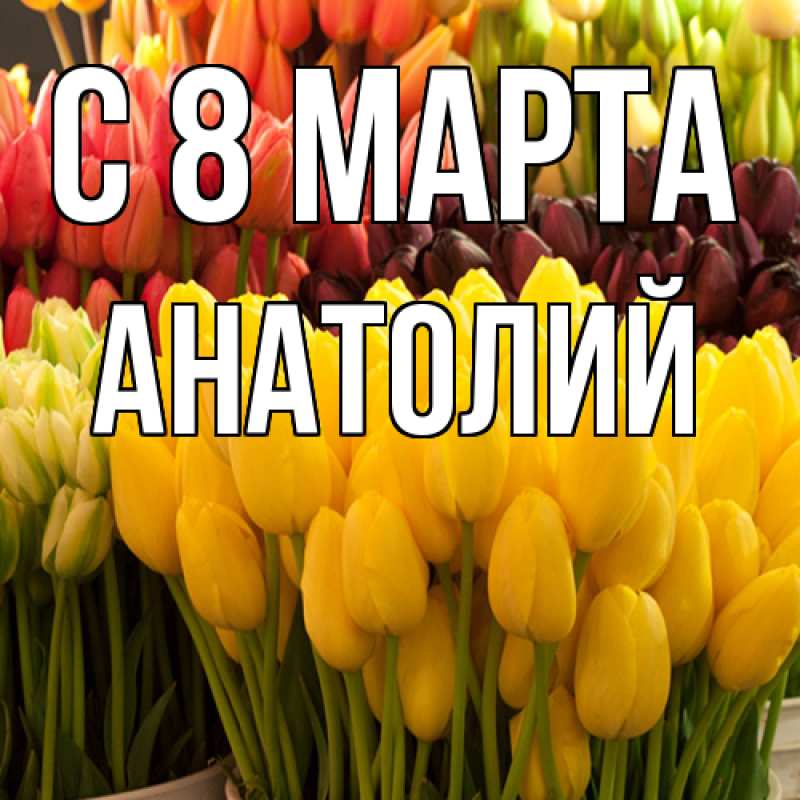 Картинка C 8 МАРТА, Анатолий