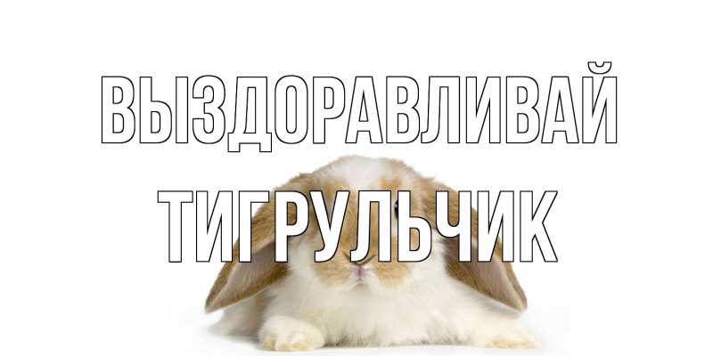 Картинка Выздоравливай, Тигpульчик