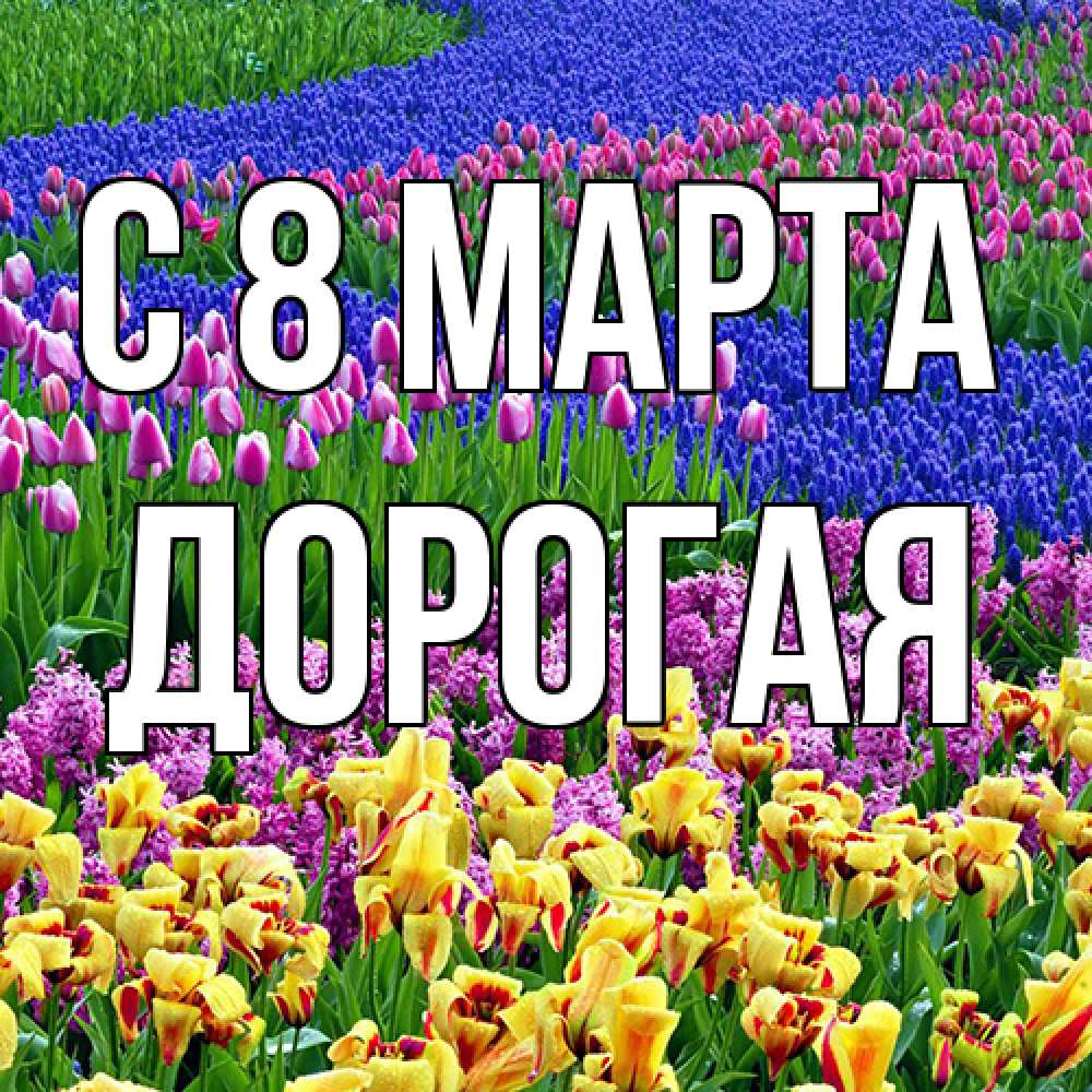 Открытка на каждый день с именем, Дорогая C 8 МАРТА цветы Прикольная открытка с пожеланием онлайн скачать бесплатно 