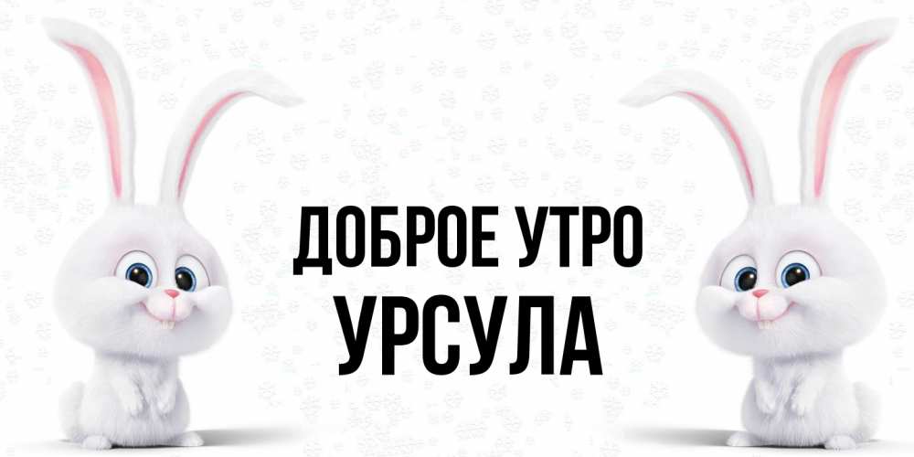 Открытка на каждый день с именем, Урсула Доброе утро кролики с длинными ушками Прикольная открытка с пожеланием онлайн скачать бесплатно 