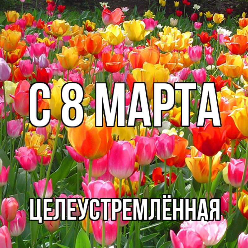 Картинка C 8 МАРТА, Целеустремлённая