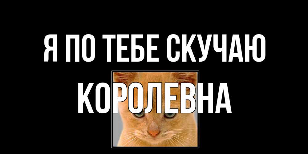 Открытка на каждый день с именем, Королевна Я по тебе скучаю открытки рыжий котенок скучает по тебе Прикольная открытка с пожеланием онлайн скачать бесплатно 