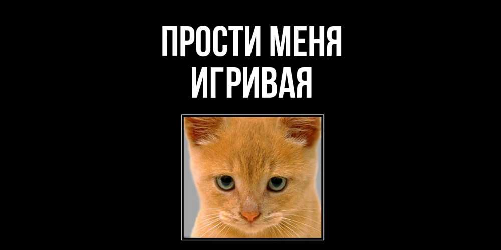 Открытка на каждый день с именем, игривая Прости меня рыжий грустный кот просит прощения Прикольная открытка с пожеланием онлайн скачать бесплатно 